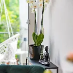 Blueberry Living - Design Loft Nahe Muenchen - Dachterrasse - S-bahn Gauting
